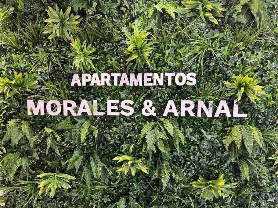 XVIII B Suite Apartamentos Morales & Arnal Ronda Esterno foto